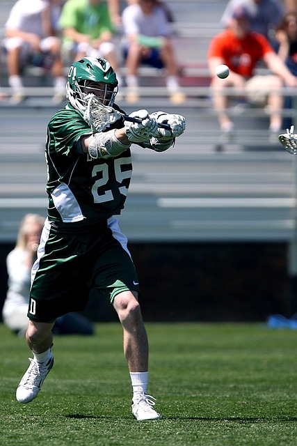 稳定与延续 稳定与延续